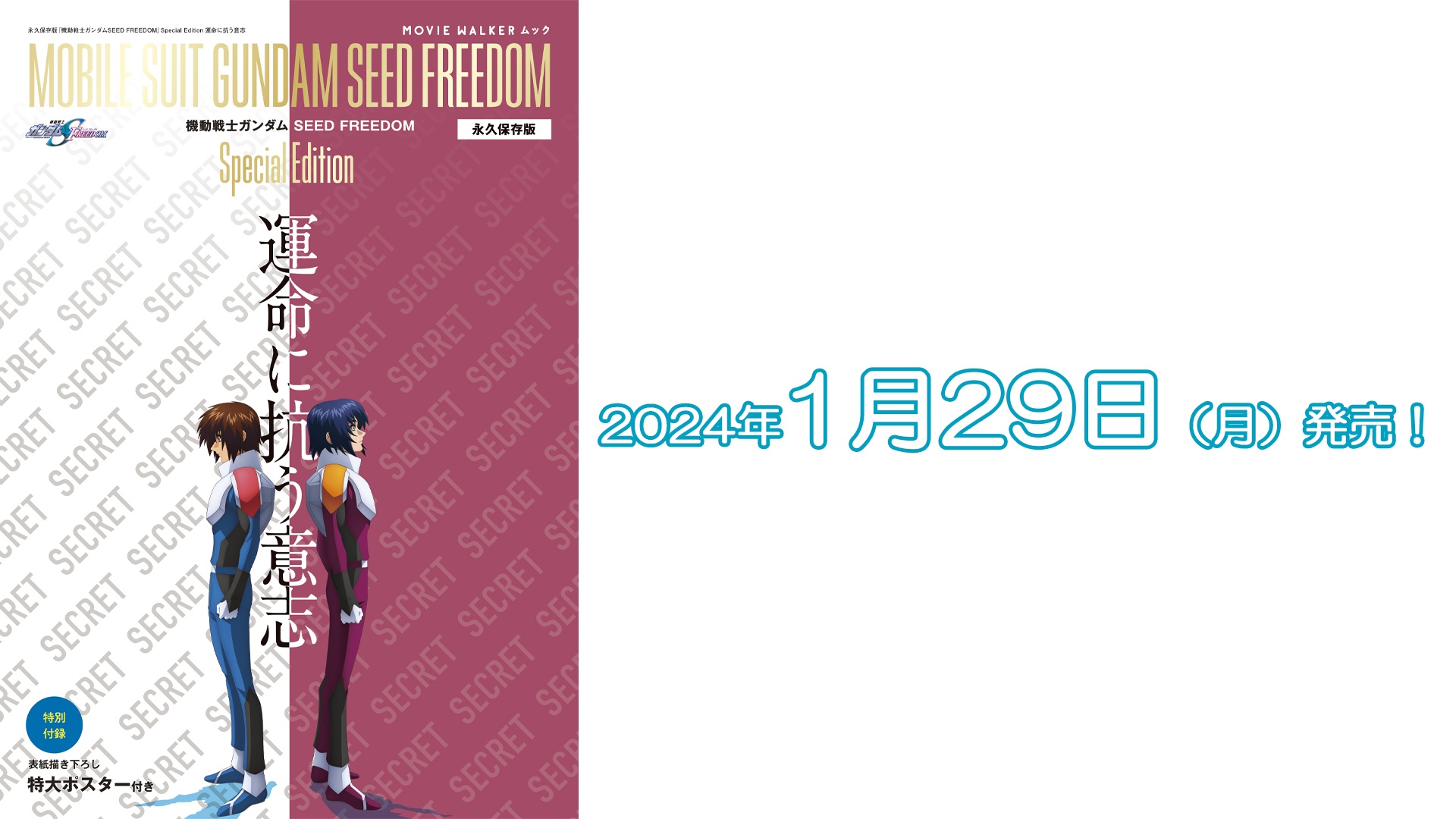 NEWS | 『機動戦士ガンダムSEED＆SEED DESTINY スペシャルエディション