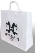 特典：”HYADAIN TOKYO” ショッピングバッグ