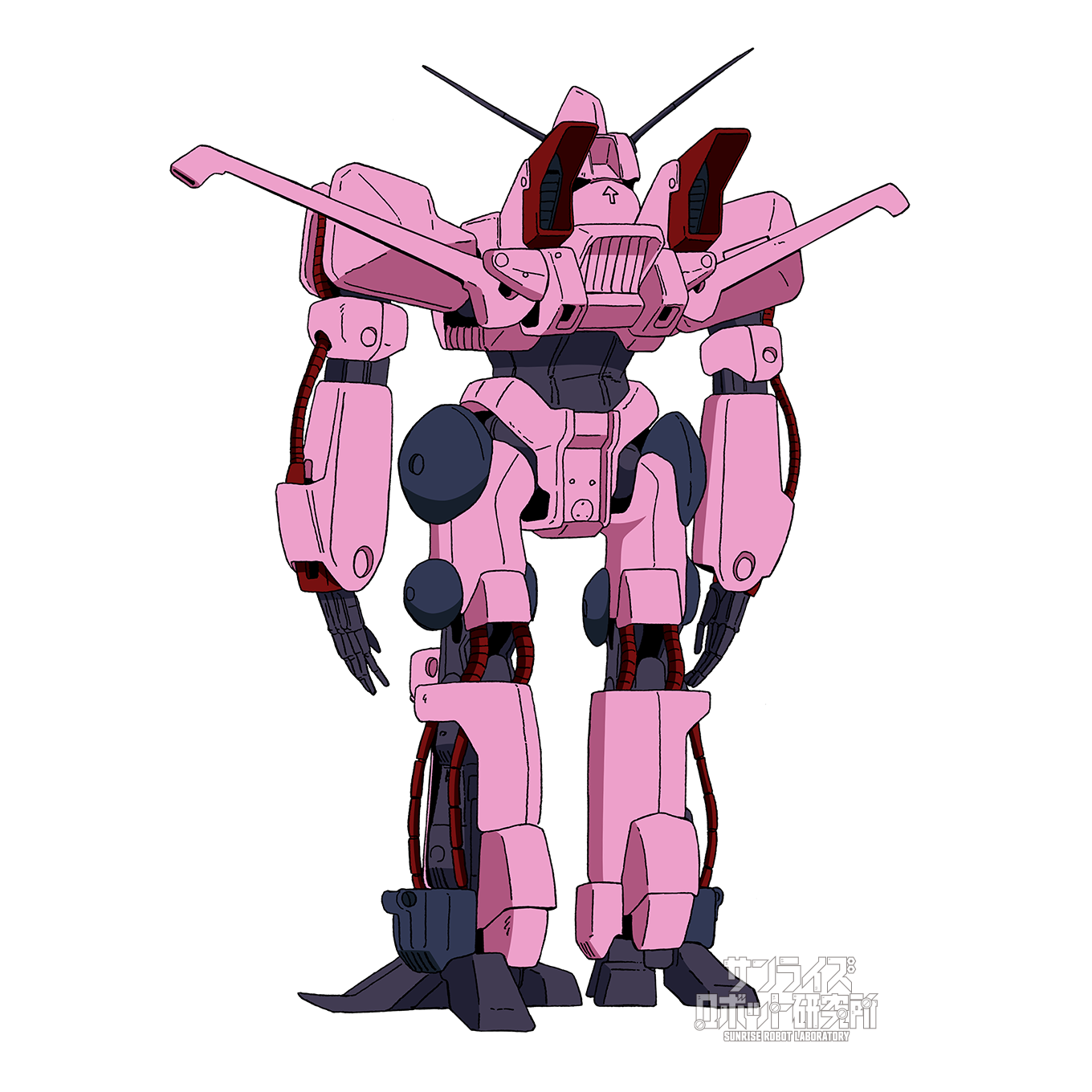 バルブド・カイゼス